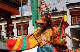 Festivals in Ladakh