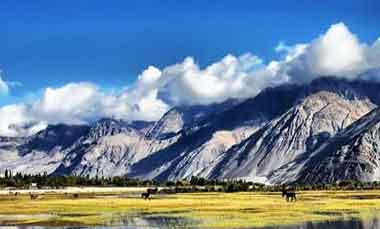 Holidays in Ladakh & Ladakh Tour Packages