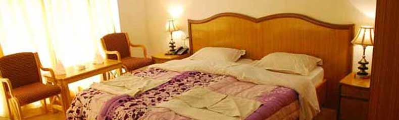 Hotels In Ladakh