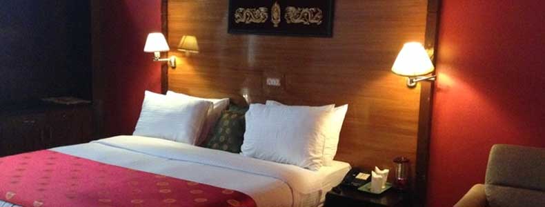 Hotels In Ladakh